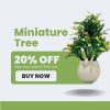 Miniature Tree planter for Home and Office Decor in Pakistan