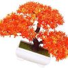 Miniature Tree planter for Home and Office Decor (Orange Color)