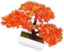 Miniature Tree planter for Home and Office Decor (Orange Color)